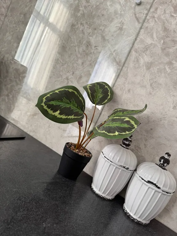 Уютная квартира с дизайнерским ремонтом