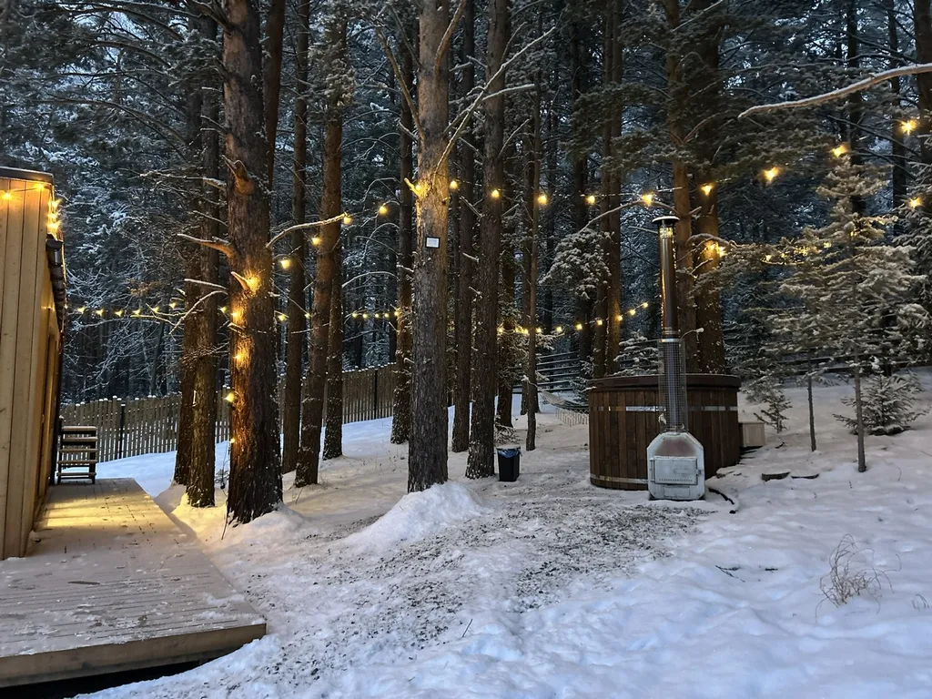 Дом баня на дровах