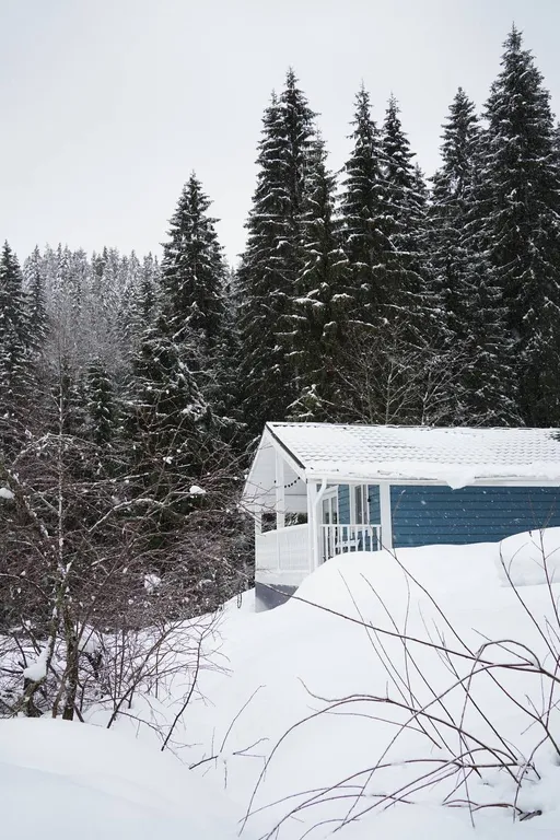 Домик у леса с видом на озеро