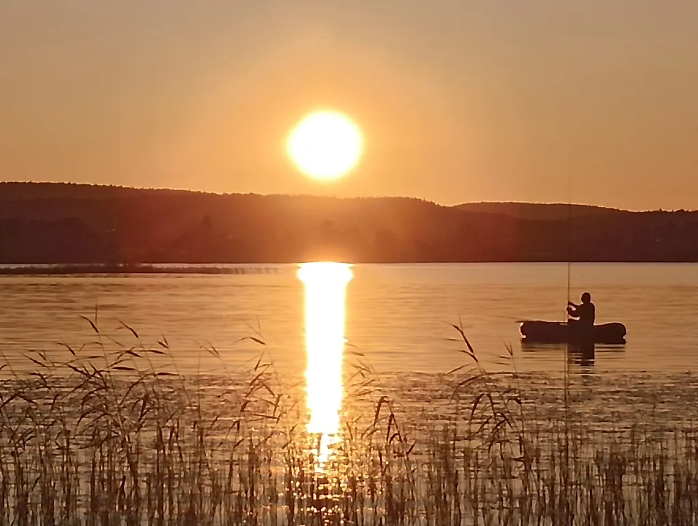 Гостевой дом Лось