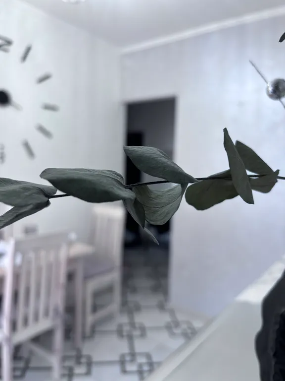 Квартира У замков