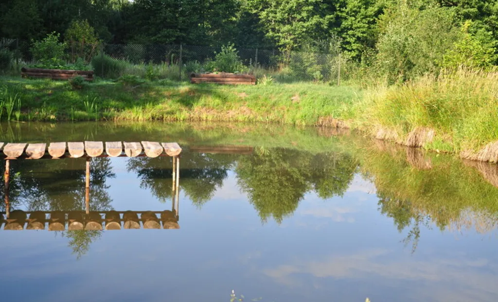 Хутор Избушка на опушке леса, возле реки