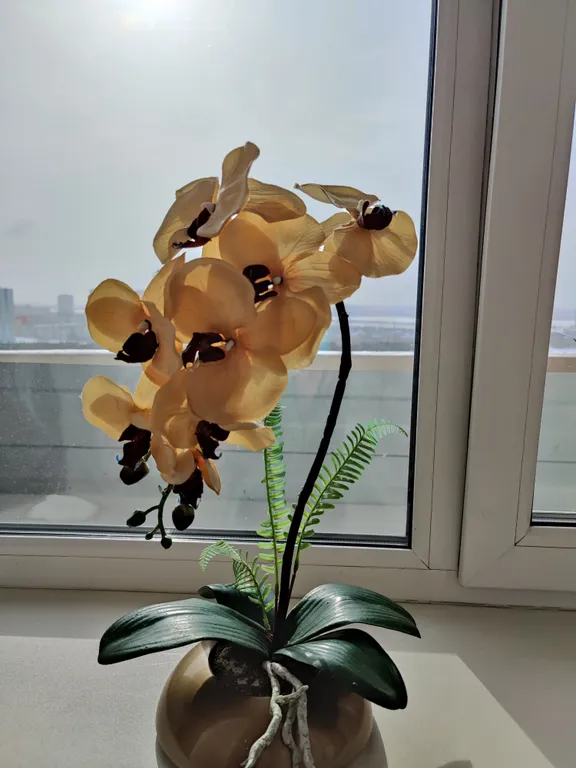 Уютная квартира с панорамным видом на парк