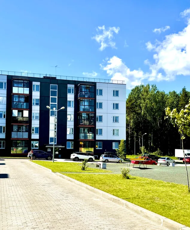 Уютная студия рядом с лесом