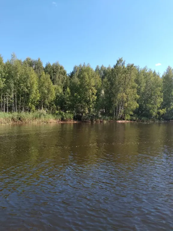 Апартамент на Рыбинском море