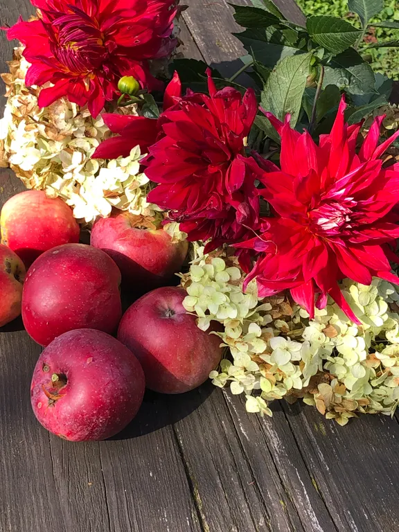 Усадьба Царское село