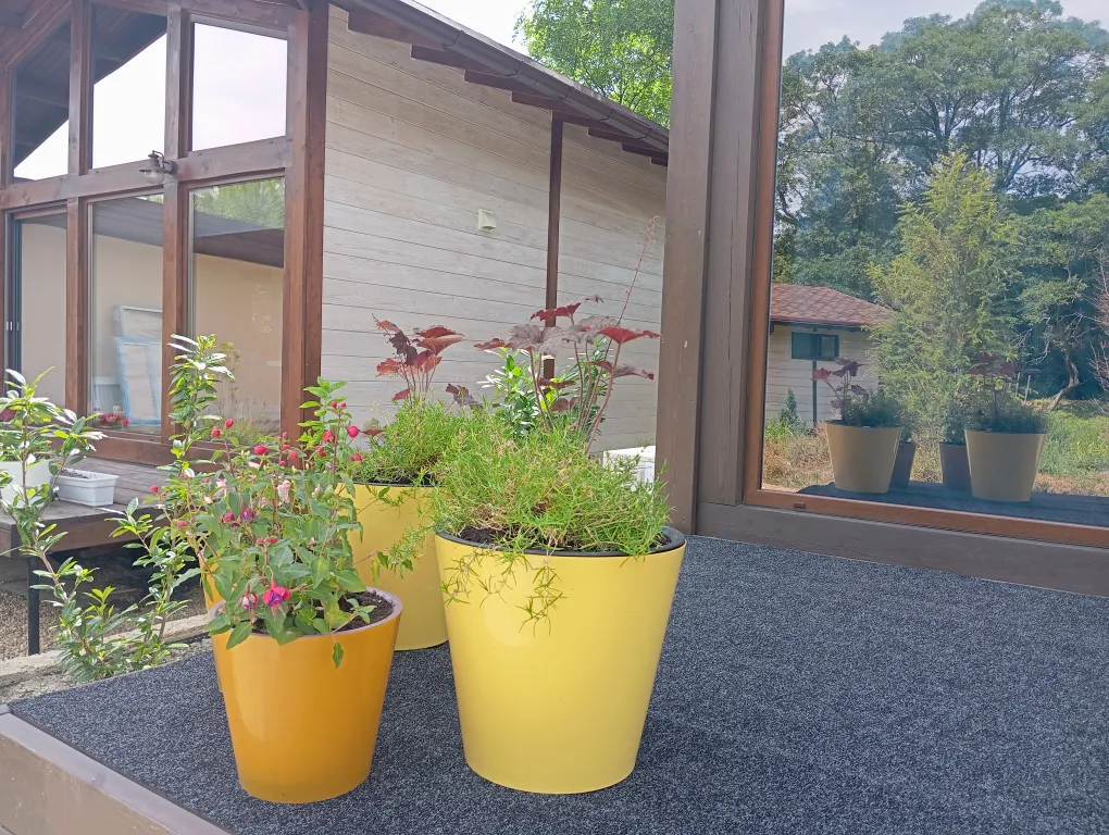 Коттедж Дом Кот и мёд — Южная Озереевка