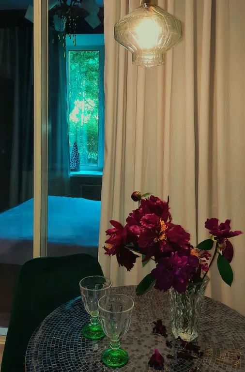 Квартира Апартаменты для двоих Лесная гавань — Пушкин