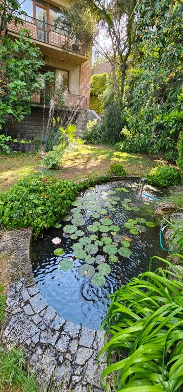 Солнце Ялты