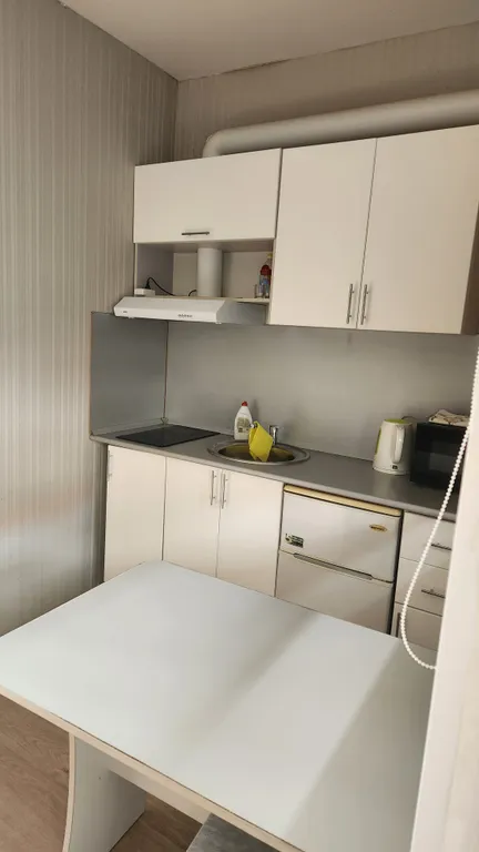 Квартира Комната с кухней и ванной комнатой — Сириус