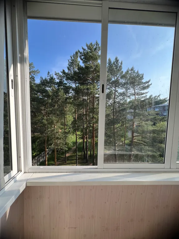 Уютная квартира с видом на лес