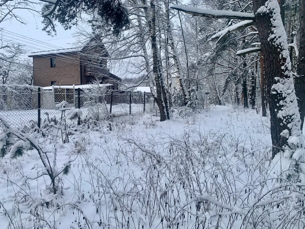 Коттедж Дом в лесу — Петровское