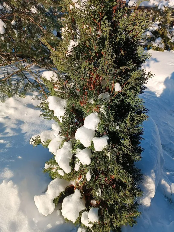 Боровики Хаус дом с камином