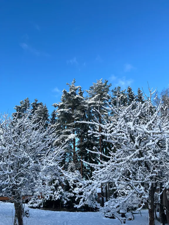 Коттедж Коттедж Шапкинские высоты — Тосно