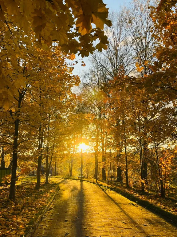 Домик с видом на лес