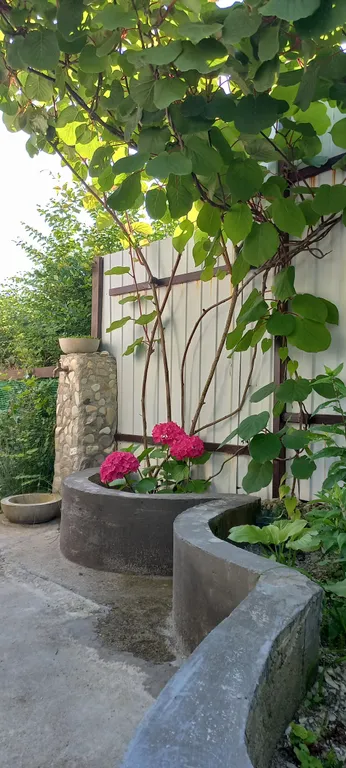 Райское местечко