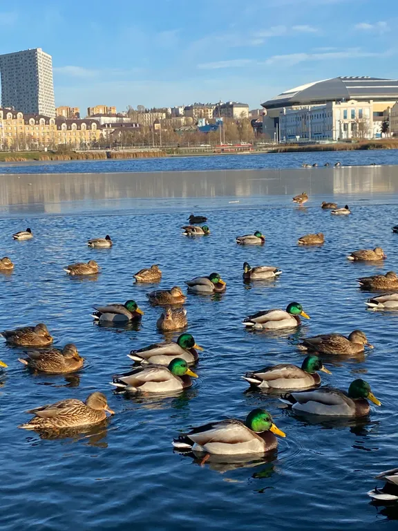 Квартира Happy Lake Большая квартира у озера Кабан в центре города — Казань