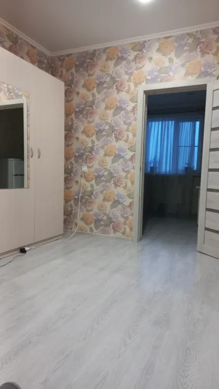 Однокомнатная квартира у ЦУМа