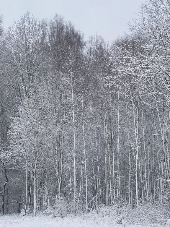 Домик на берегу реки