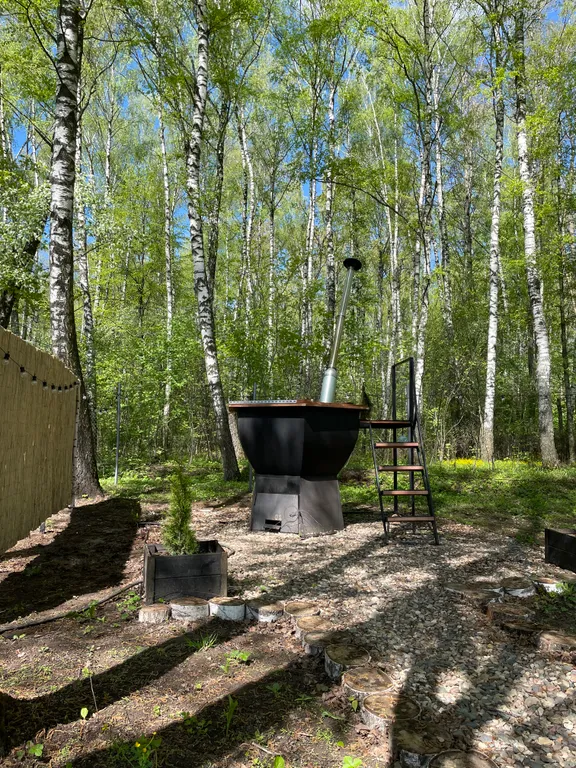 Дом Шалаш Тимохи