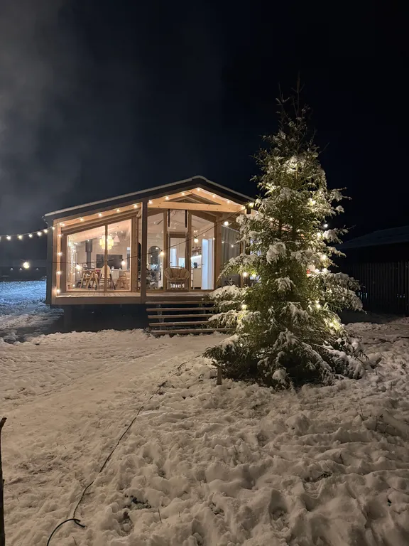 Дом с панорамным камином и видом на лес