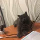 Татьяна