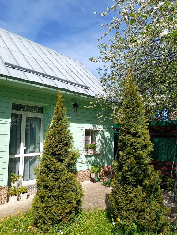 Дом с беседкой, мангалом и парковкой, лес, тишина, хороший сон