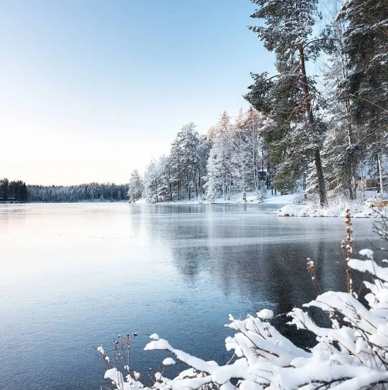 Солнечный домик в беловежской пуще без соседей, баня, озера, экскурсии