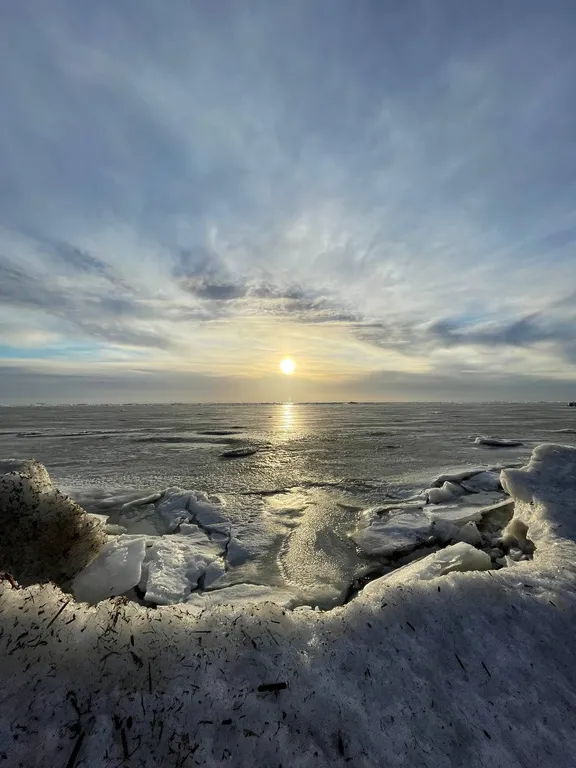 Домик в лесу