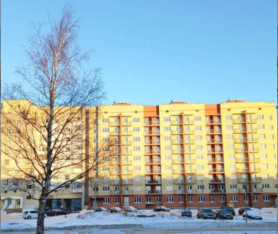 Светлая квартира у моря