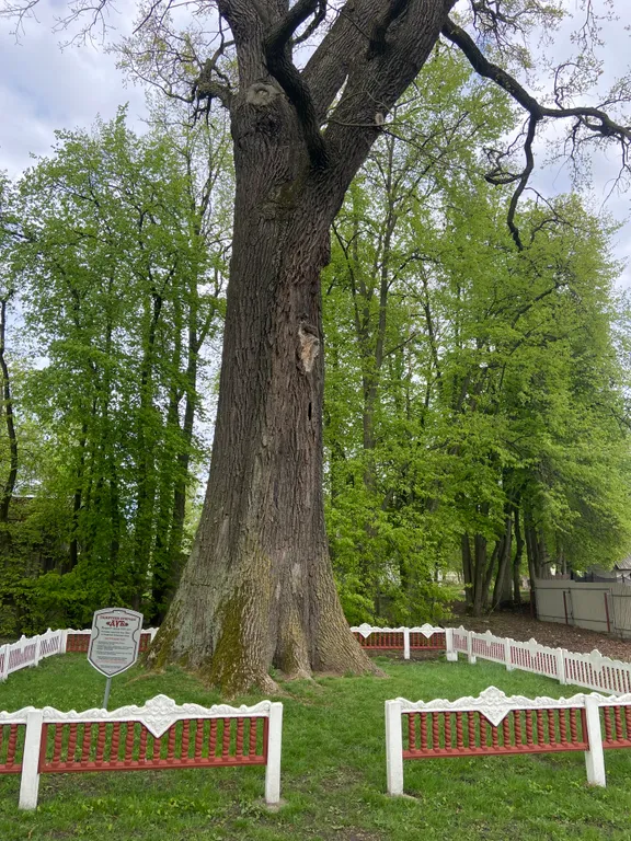 Усадьба На позитиве