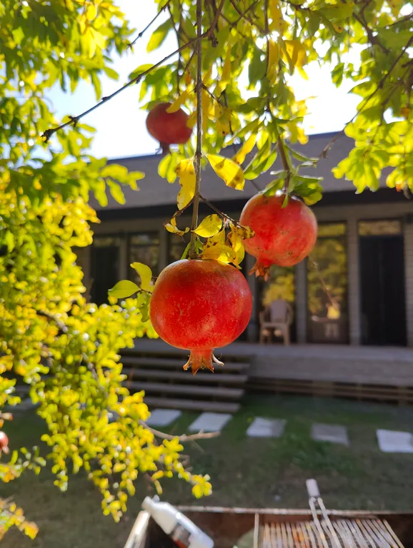 Дом с морем за калиткой