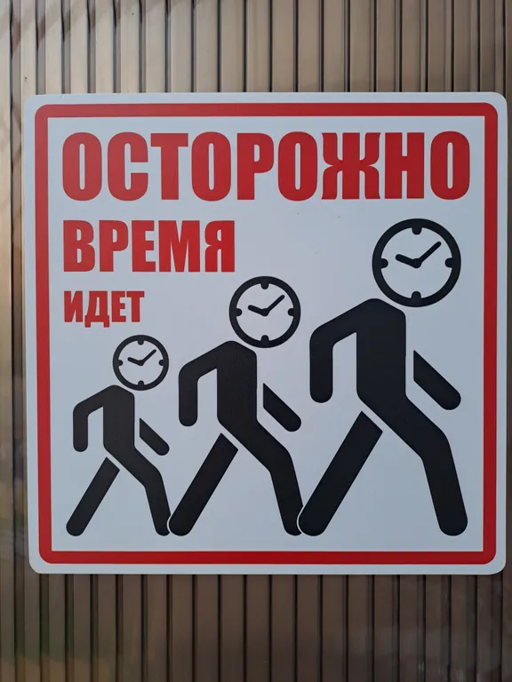 Квартира Квартира Наша дача — Светлогорск