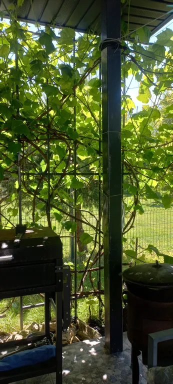 Дом с видом на море и отдельно стоящей баней.