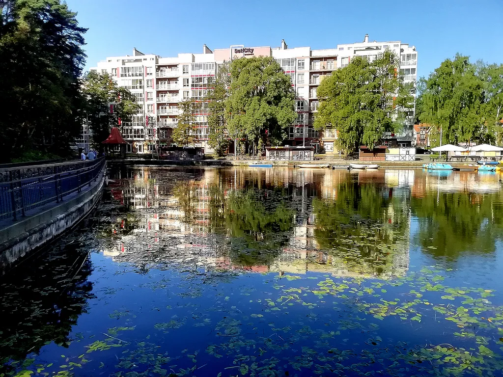 Квартира у моря, с видом на озеро и сосновый бор — аренда посуточно в Светлогорск