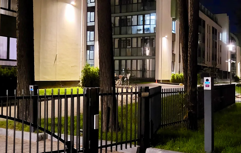 У залива среди сосен