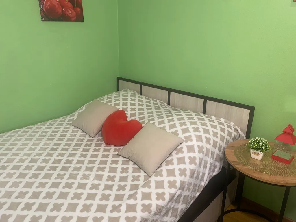 Уютная студия в центре города