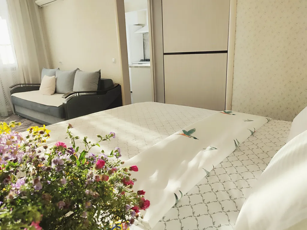 Апартамент Центральный