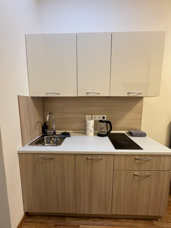 Квартира Апартаменты на Взлетке — Красноярск