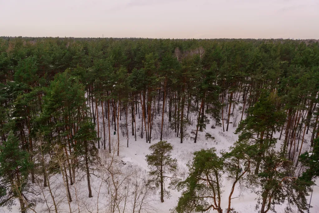 Студия у метро Котельники на Строителей 5