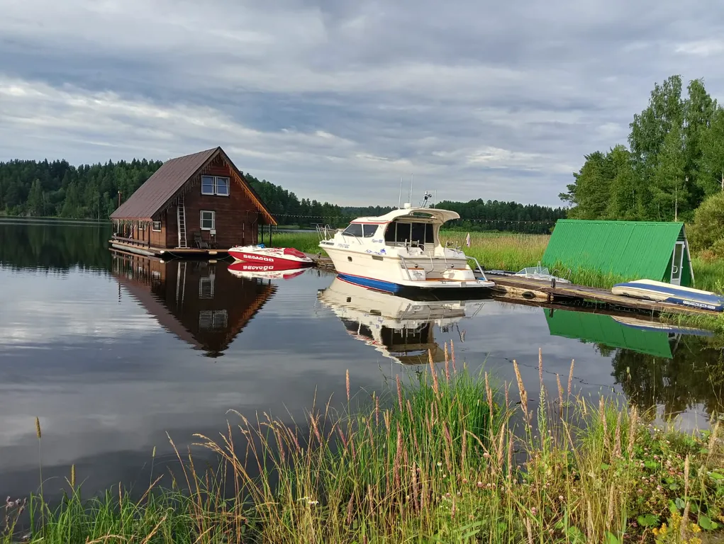 Лесная сказка на берегу Ладоги