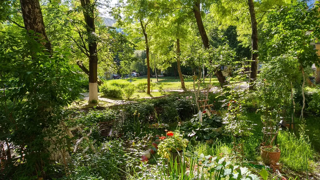 Уютная однокомнатная квартира в самом центре Калининграда