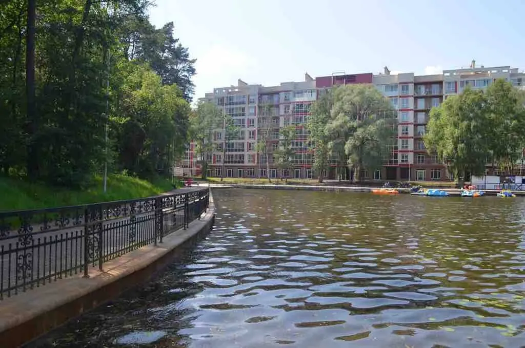 Уютная студия с видом на лес