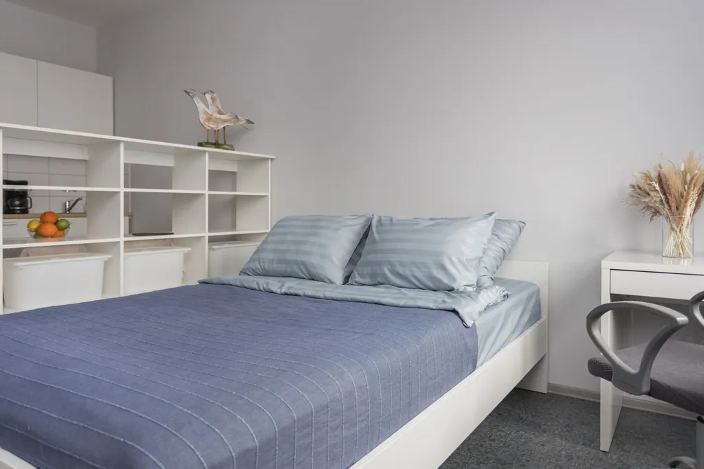 Удобная студия в историческом центре Петрозаводска