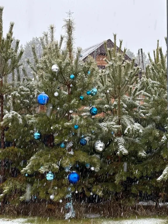 Уютный дом на природе