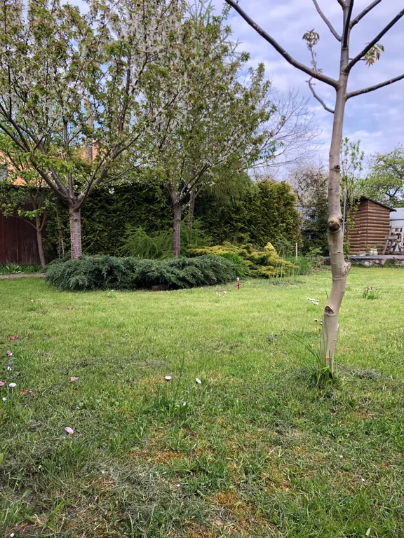 Коттедж Уютный дом у моря — Зеленоградск