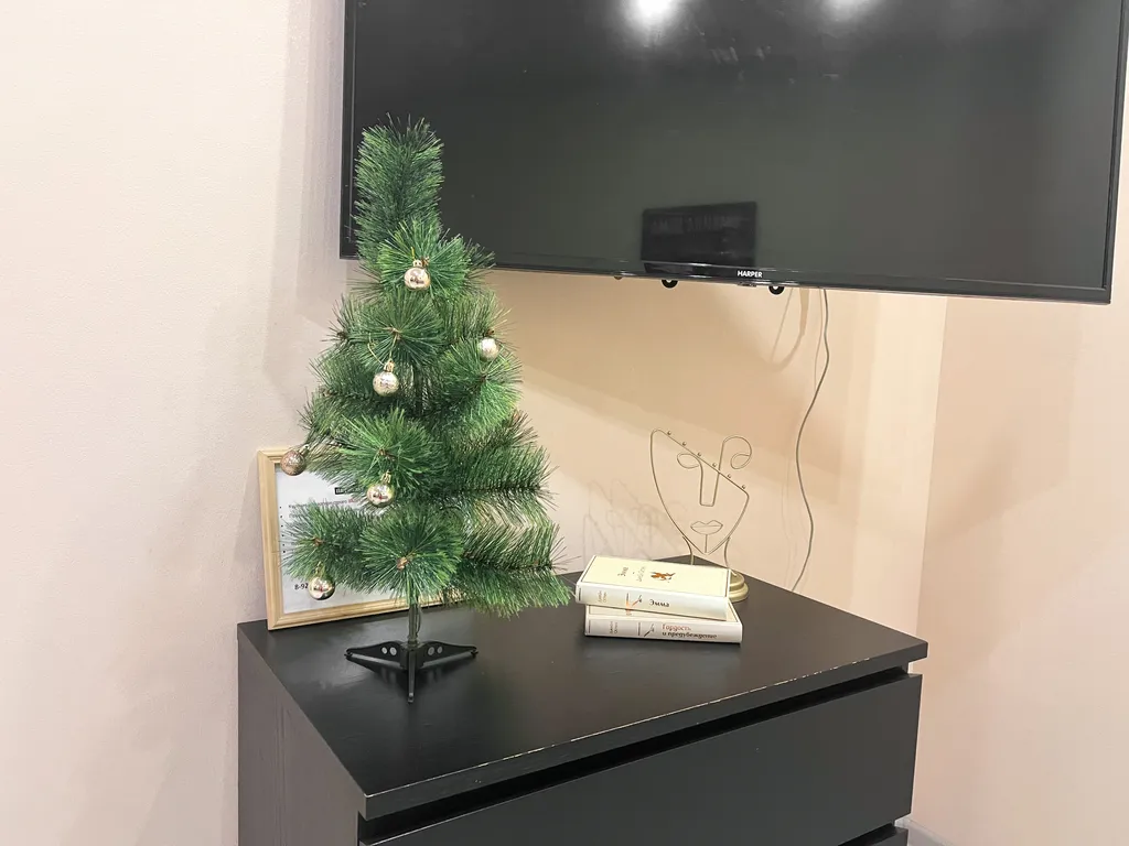 Уютная квартира в Петрозаводске