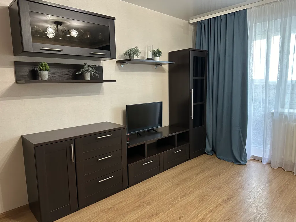 Уютные однокомнатные апартаменты