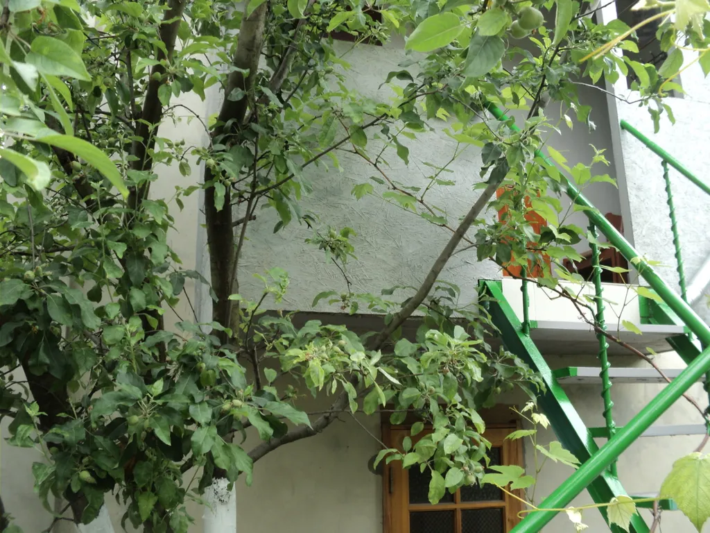 Гостевой дом у Федоровны