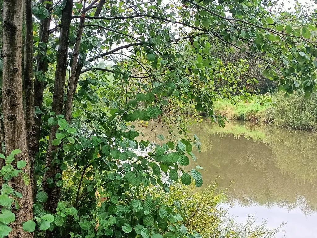 Остров Аннушки - уютные домики у реки